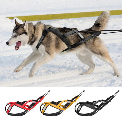 Ultimate Waterproof Reflective Dog Sledding Harness for Large Breeds - Perfect for Skijoring and Weight Pulling (65cm - 85cm)