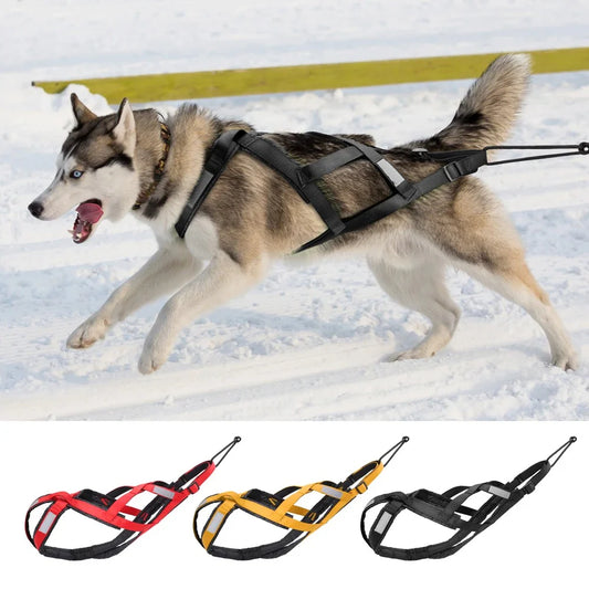 Ultimate Waterproof Reflective Dog Sledding Harness for Large Breeds - Perfect for Skijoring and Weight Pulling (65cm - 85cm)