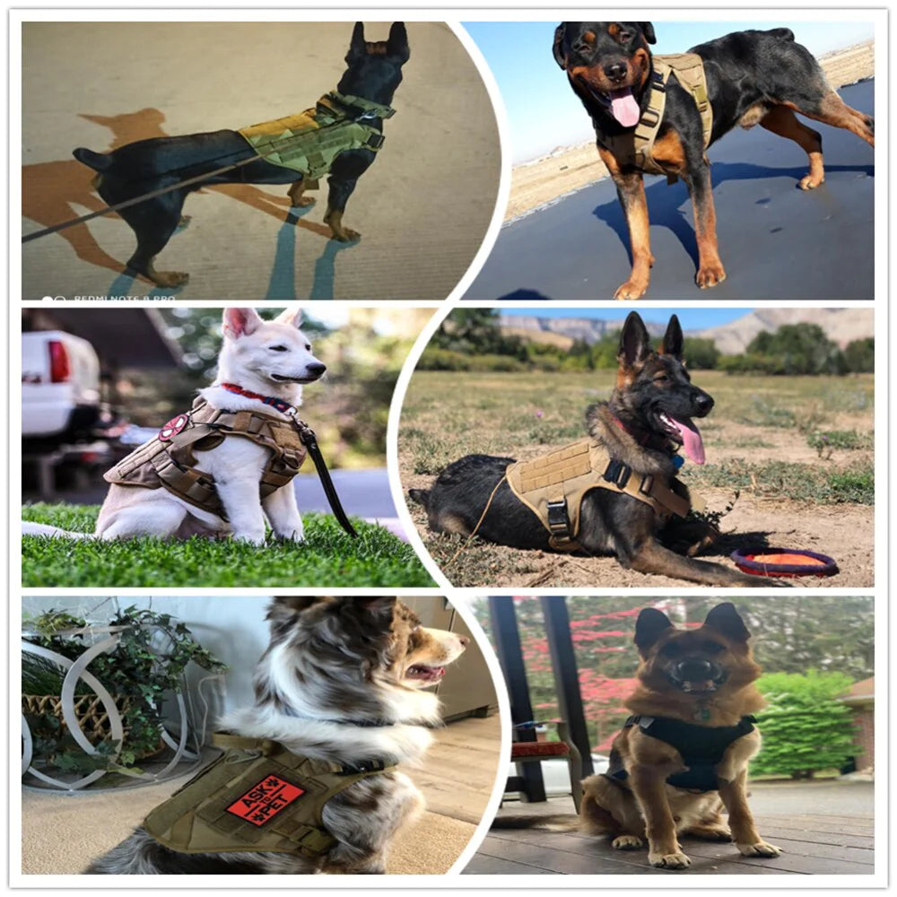 Durable MOLLE Tactical Dog Harness with Metal Buckle - Perfect for German Shepherds, Golden Retrievers, Labradors, and More!