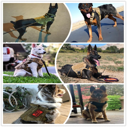 Durable MOLLE Tactical Dog Harness with Metal Buckle - Perfect for German Shepherds, Golden Retrievers, Labradors, and More!