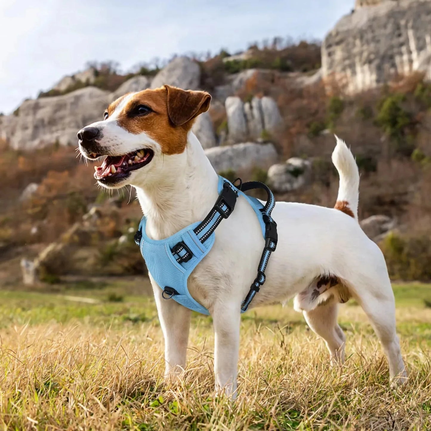 Ultimate Escape Proof Dog Harness & Leash Combo - No Pull Vest with Reflective Soft Padding & 5 Feet Leash (Large)