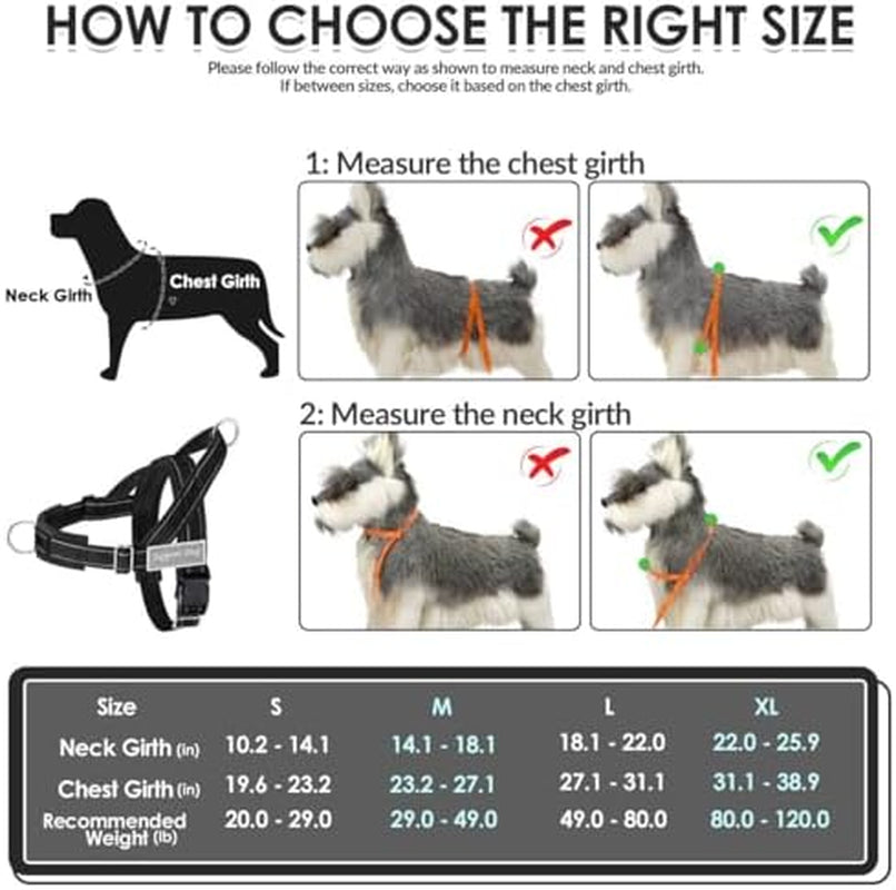 Heavy Duty No Pull Dog Harness & Leash Set - Reflective Tactical Design with Soft Padding & Front Clip for Easy Walking & Training - Perfect for Medium to Large Dogs (Black, Size L)