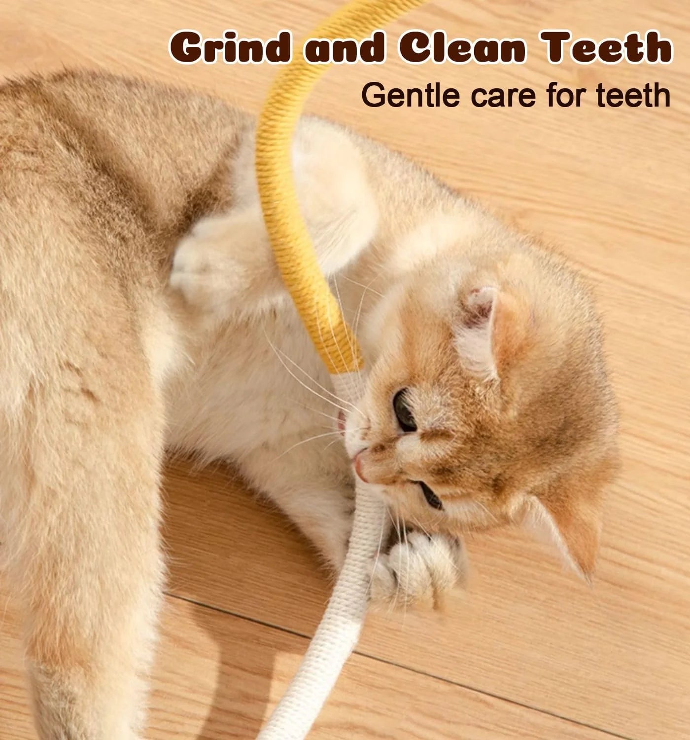 Interactive Cat Chew Ropes - 4 Pack with Refillable Natural Catnip, Safe Dental Toys for Indoor Cats and Kittens of All Breeds